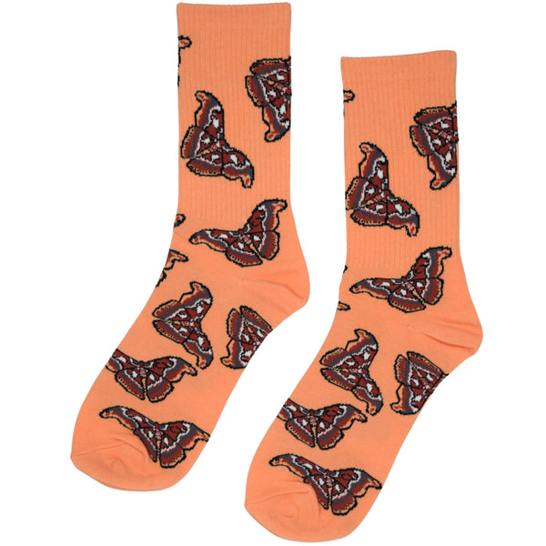 Atlas Moth Socks