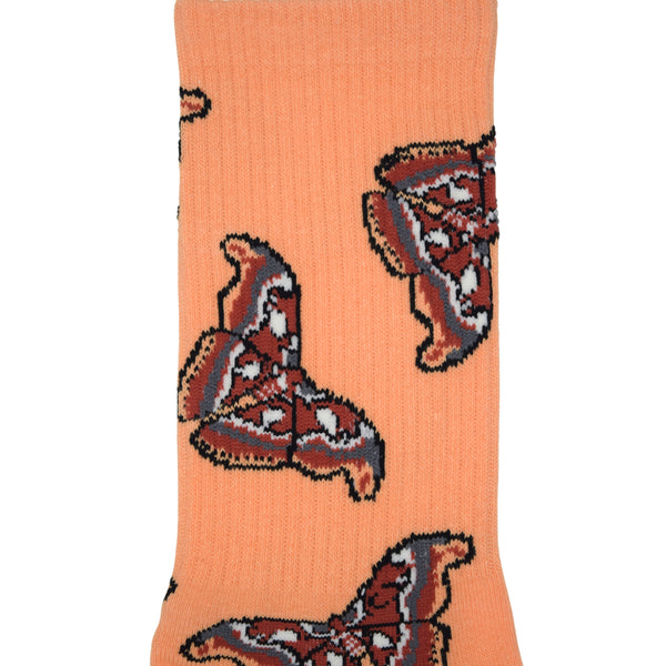 Atlas Moth Socks