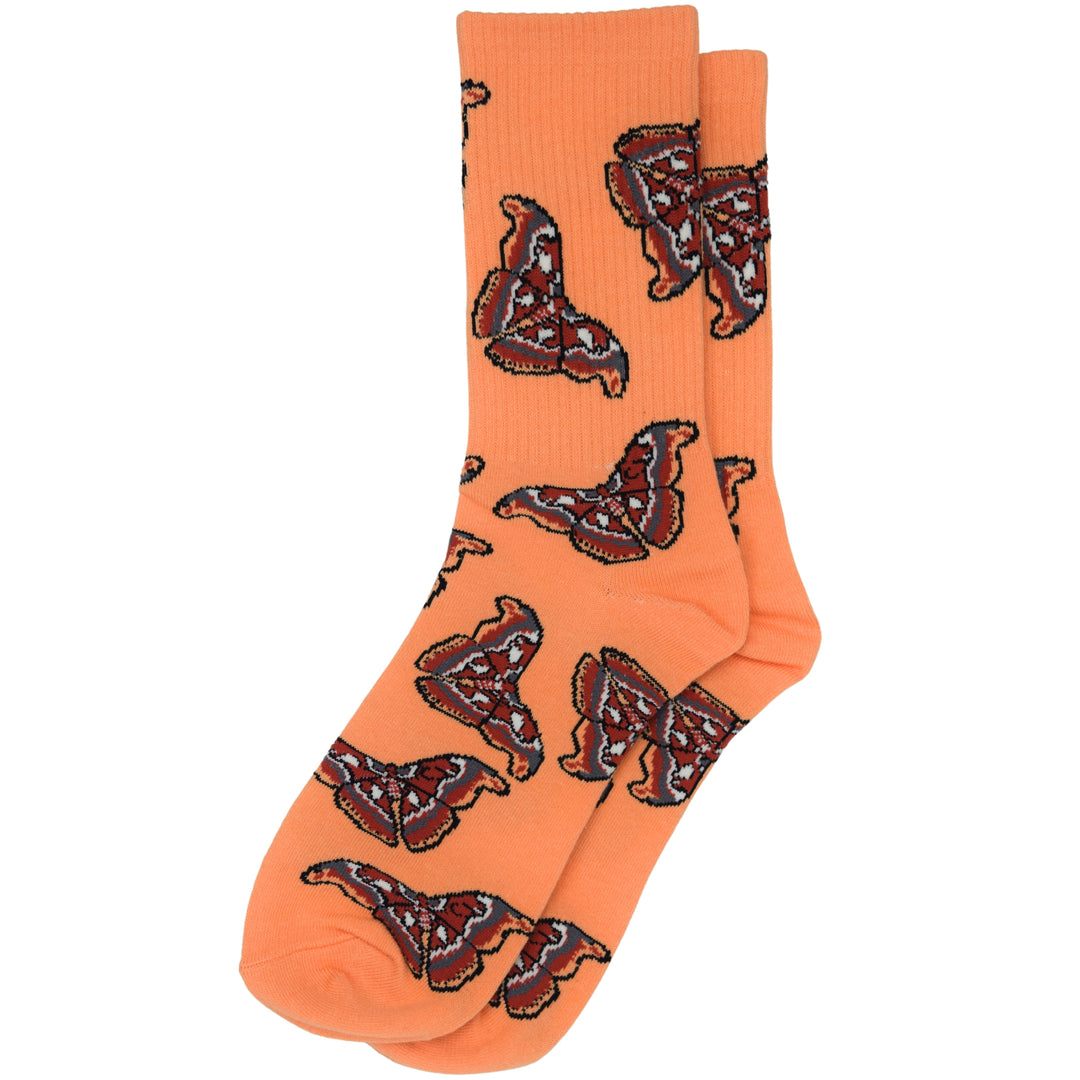 Atlas Moth Socks