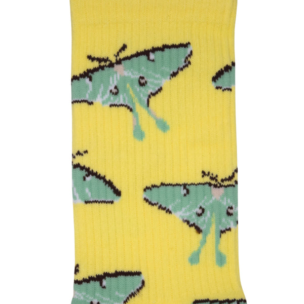 Luna Moth Socks