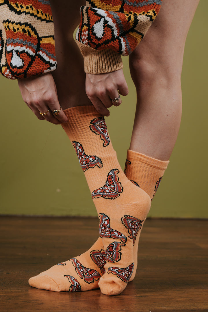 Atlas Moth Socks