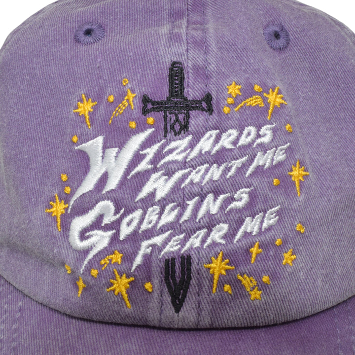 Wizards Want Me Hat