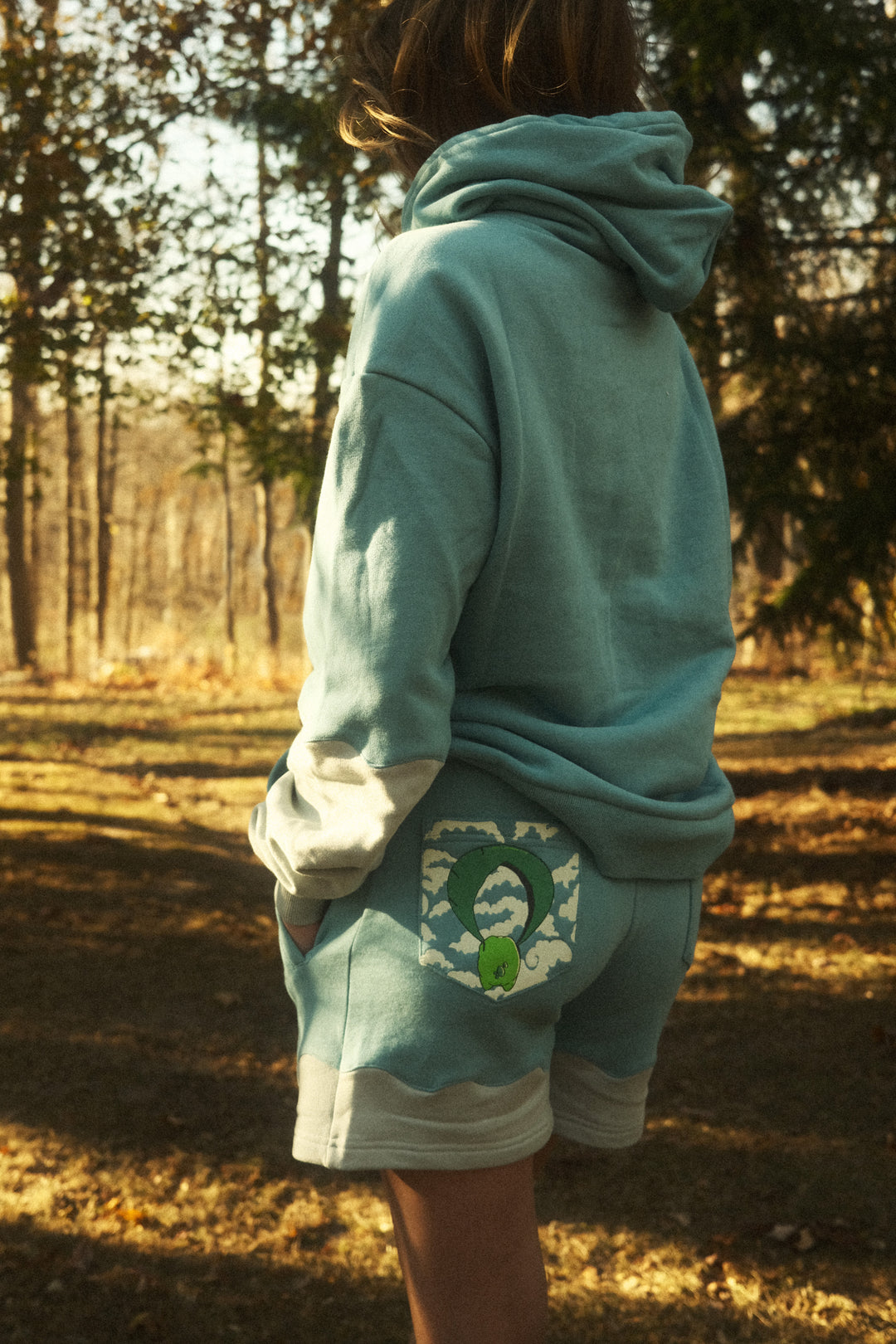 Gliding Frog Daytime Hoodie