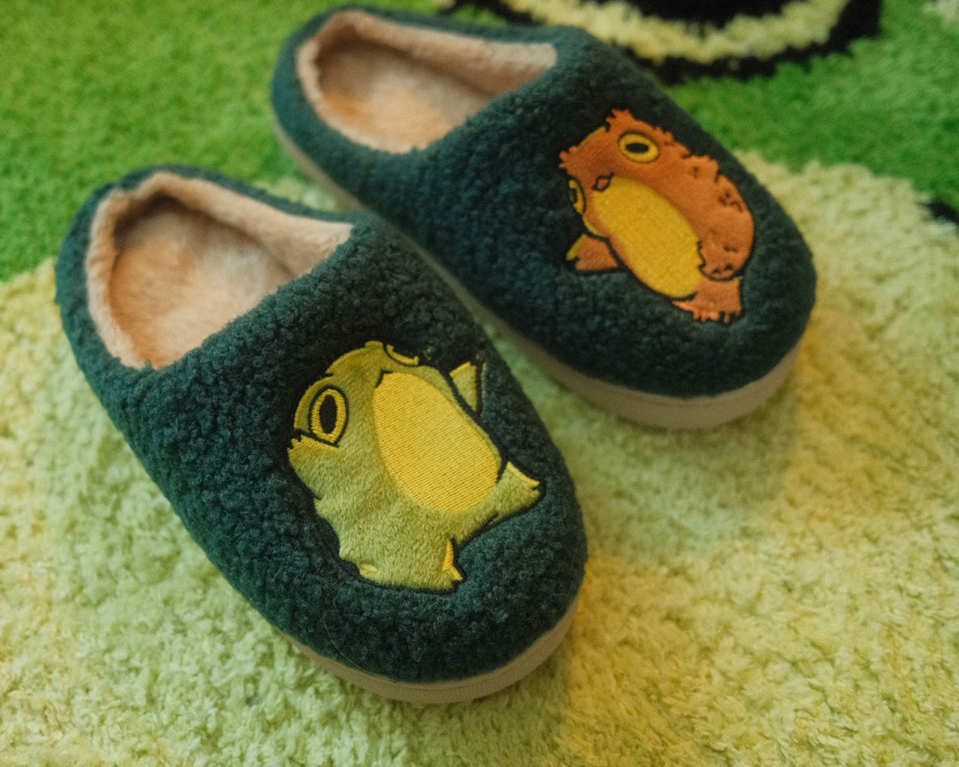 Frog and Toad Slippers