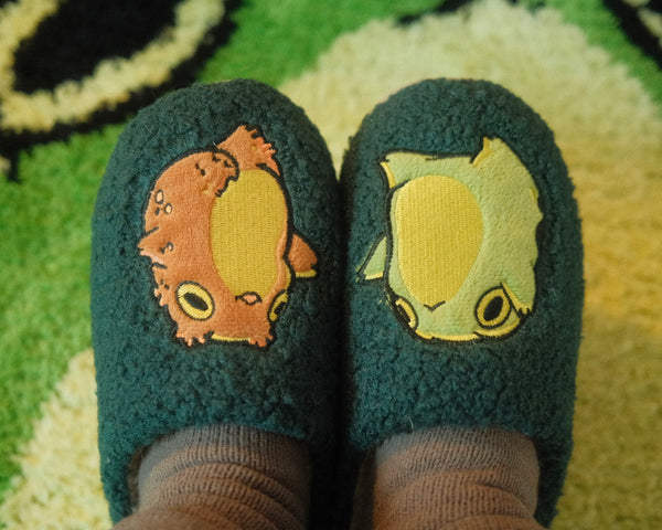 Frog and Toad Slippers